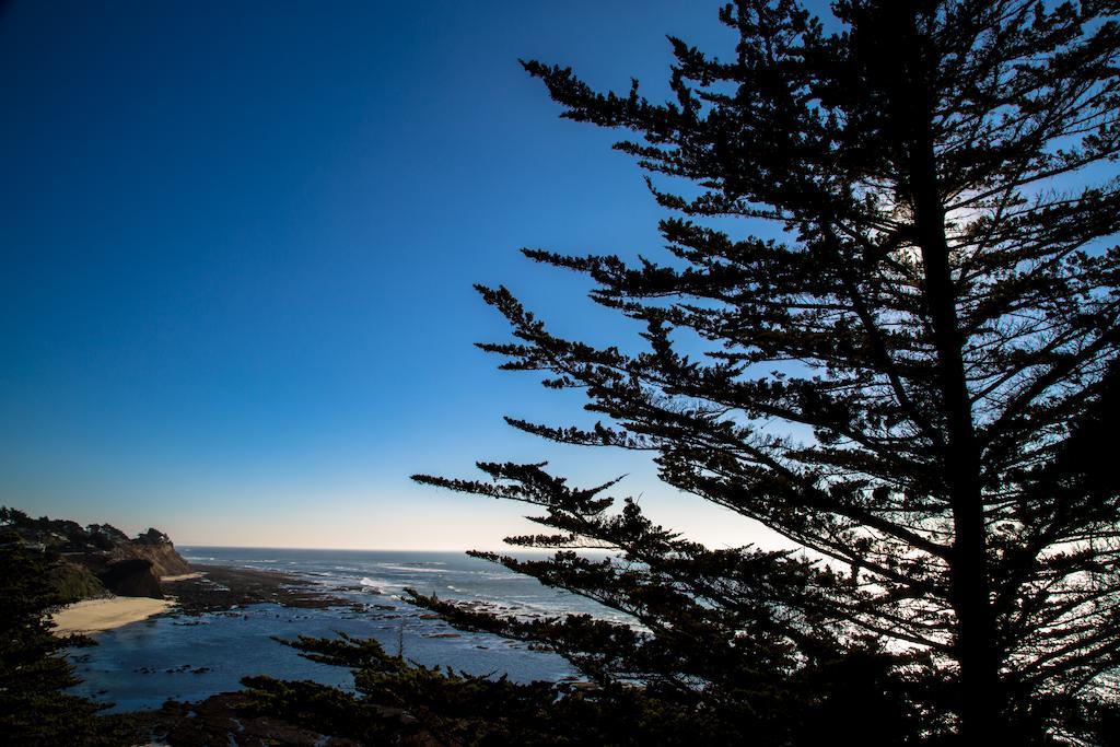 Seal Cove Inn Moss Beach Exterior foto