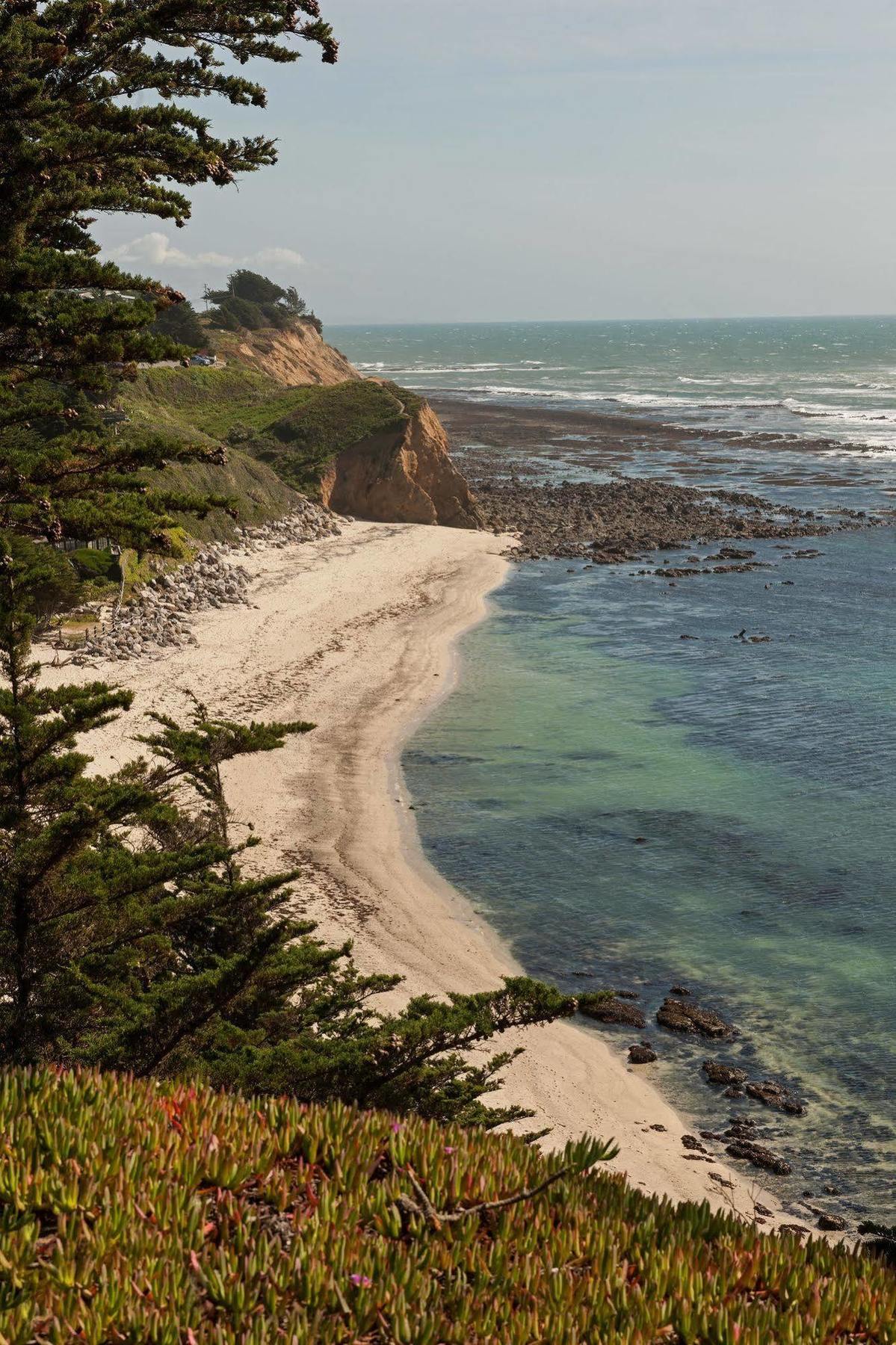 Seal Cove Inn Moss Beach Exterior foto